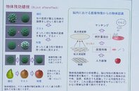 20130603_ntt007.jpg