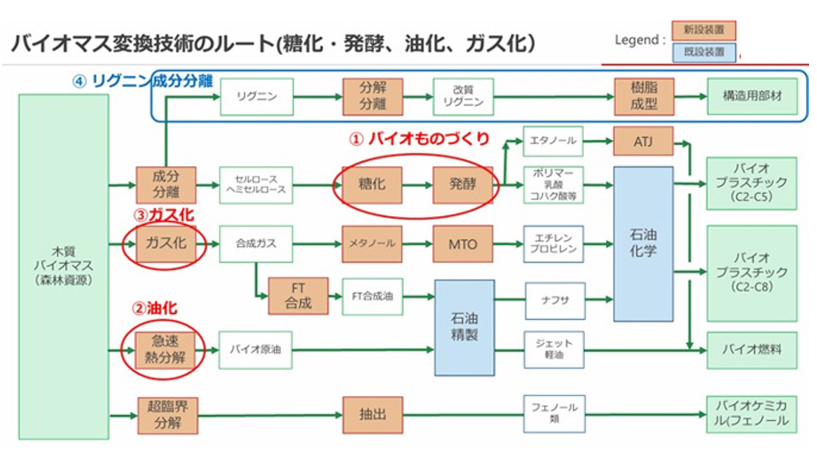 石油からバイオマスへの転換は、林業・製材施設と化学プラントの連携が鍵—森林循環経済総論（2）