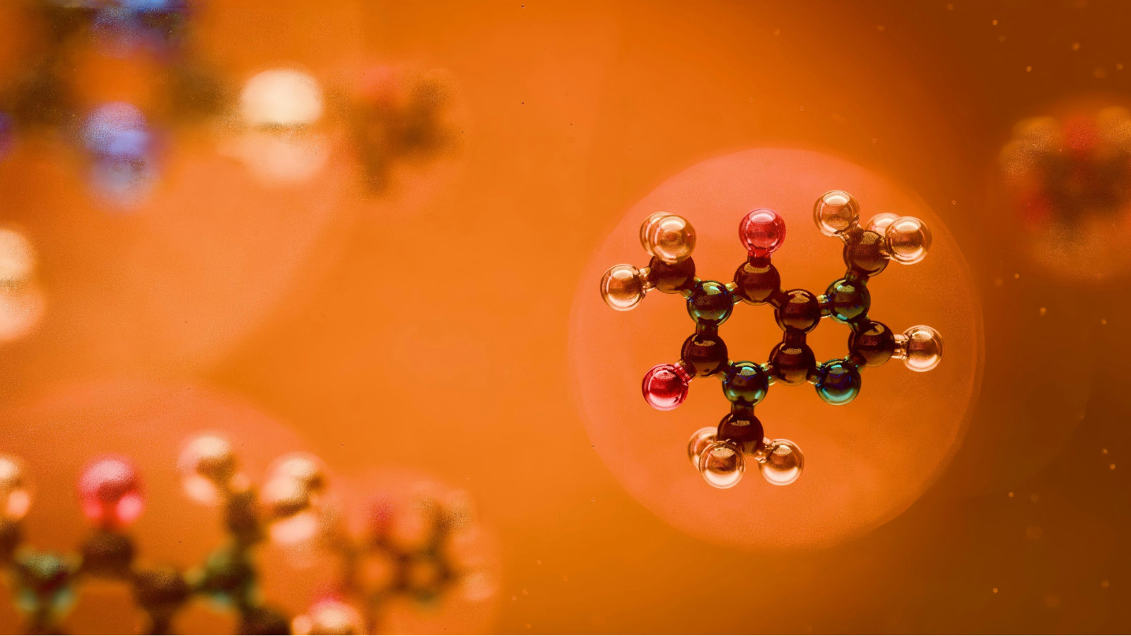 多様な翻訳が可能な科学は、創造的活動のソースとなる