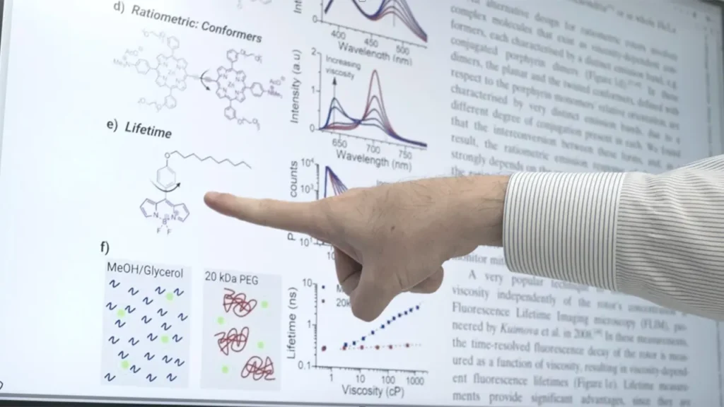 分子ローターとFLIM分析に関するレビュー論文